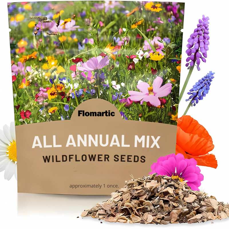 Flomartic:  Mixed Wildflower Seeds – Year-Round Garden Bliss