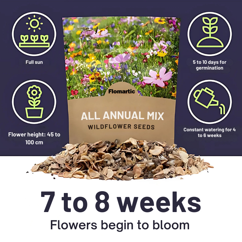 Flomartic:  Mixed Wildflower Seeds – Year-Round Garden Bliss