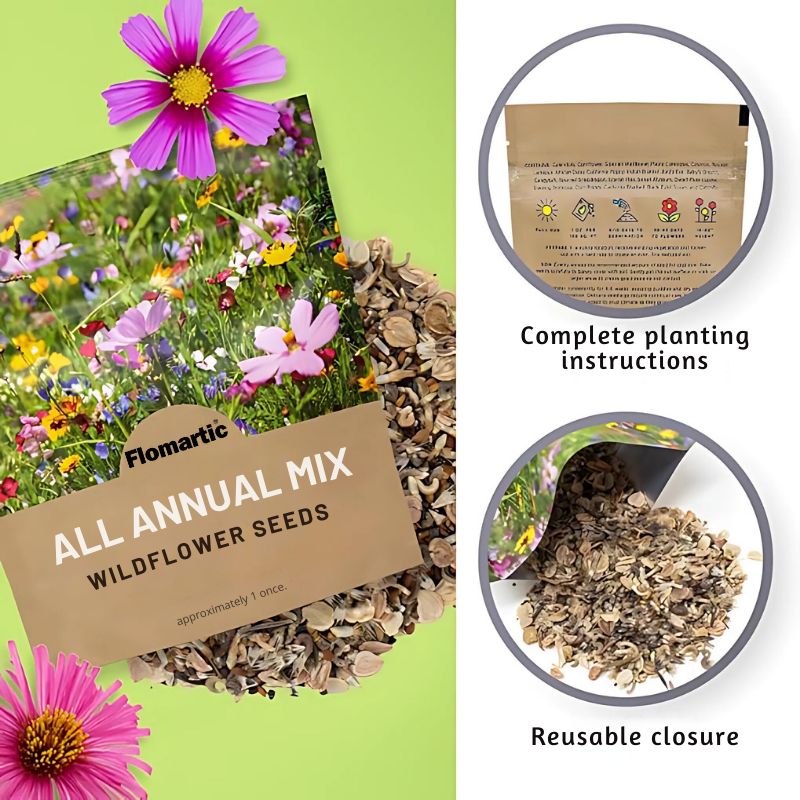 Flomartic:  Mixed Wildflower Seeds – Year-Round Garden Bliss