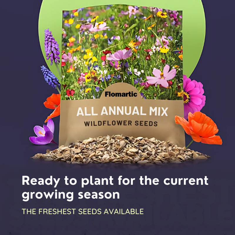 Flomartic Mixed Wildflower Seeds - vibrant blooms of roses, sunflowers, tulips, lavender, and lilies for every season, transforming gardens into colorful havens.