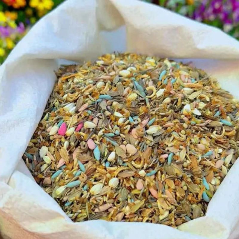 Flomartic:  Mixed Wildflower Seeds – Year-Round Garden Bliss